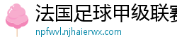 法国足球甲级联赛